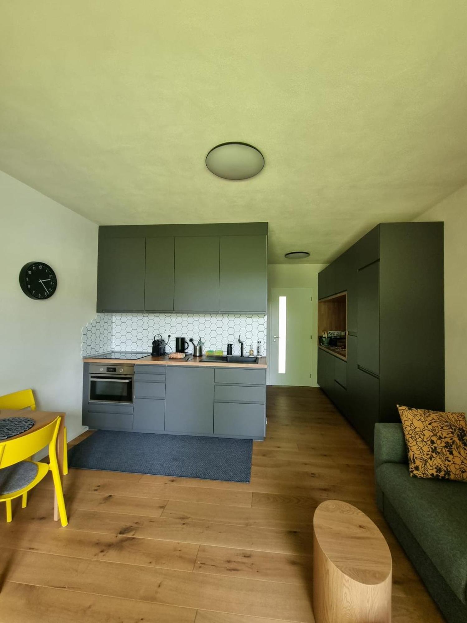 Apartman Berg Brcalnik Železná Ruda 외부 사진